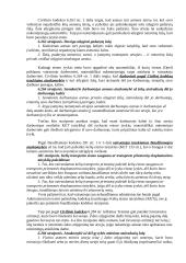 Teisės normų analizė: vairuotojas viršija leistiną greitį 2 puslapis