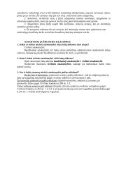 Teisės normų analizė: vairuotojas viršija leistiną greitį 3 puslapis