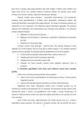 Esminiai teisės pagrindai 2 puslapis