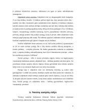 Viskas apie teisinius santykius 9 puslapis