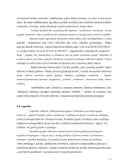 Tiekimo sistema: UAB "ASF" 11 puslapis