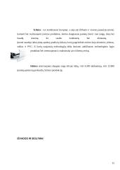 Tiekimo sistema: UAB "ASF" 13 puslapis