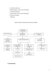 Tiekimo sistema: UAB "ASF" 5 puslapis