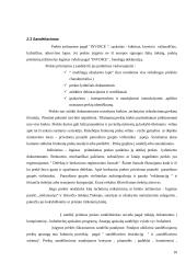 Tiekimo sistema: UAB "ASF" 10 puslapis