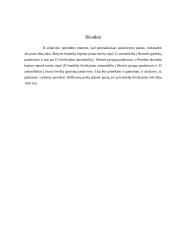 Tiesinio programavimo transporto uždavinys 4 puslapis