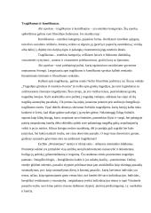 Tragiškumas ir komiškumas 2 puslapis