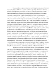 Tragiškumas ir komiškumas 3 puslapis