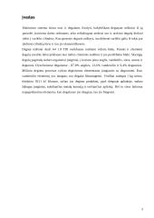 Transporto priemonių diagnostika 3 puslapis