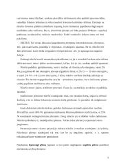 Transporto priemonių medžiagų parinkimas 5 puslapis