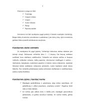 Turistų apgyvendinimo organizavimas 3 puslapis