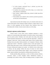 Turistų apgyvendinimo organizavimas 4 puslapis