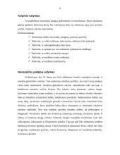 Turistų apgyvendinimo organizavimas 8 puslapis