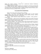 Turizmo kontrolinis darbas 5 puslapis