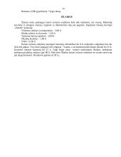 Turizmo kontrolinis darbas 10 puslapis