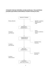 Vadybos namų uždavinys 4 puslapis