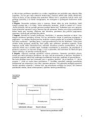 Kaip istorijos raidoje keitėsi vadybos mokyklos? 2 puslapis