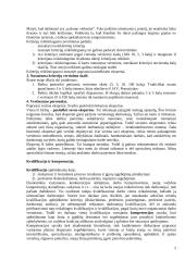 Kaip istorijos raidoje keitėsi vadybos mokyklos? 5 puslapis