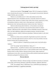 Uždaroji akcinė bendrovė “Tavo pastogė” apžvalga 2 puslapis