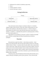 Uždaroji akcinė bendrovė “Tavo pastogė” apžvalga 4 puslapis