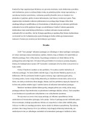 Uždaroji akcinė bendrovė “Tavo pastogė” apžvalga 6 puslapis