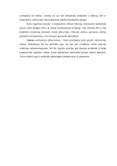 Vadybos raida ir komunikacija 8 puslapis