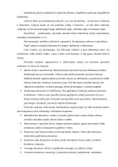 Personalo vadybos esmė ir komunikacija 10 puslapis