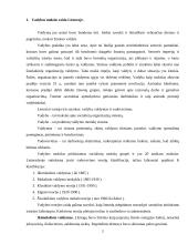 Vadybos mokslas ir jo raida 2 puslapis