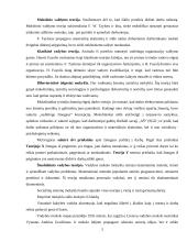 Vadybos mokslas ir jo raida 3 puslapis