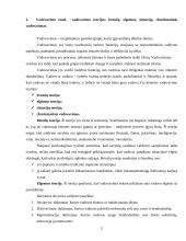 Vadybos mokslas ir jo raida 5 puslapis