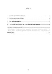 Vadybinė kompetencija 2 puslapis