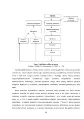 Vadybinė kompetencija 11 puslapis
