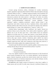 Vadybinė kompetencija 3 puslapis