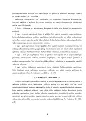 Vadybinė kompetencija 4 puslapis