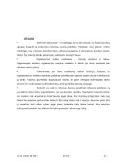 Valdymo funkcijų istorija, planavimas, organizavimas, vadovavimas ir kontrolė 13 puslapis