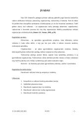 Valdymo funkcijų istorija, planavimas, organizavimas, vadovavimas ir kontrolė 3 puslapis