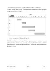 Valdymo funkcijų istorija, planavimas, organizavimas, vadovavimas ir kontrolė 7 puslapis