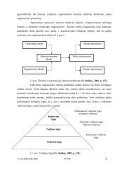 Valdymo funkcijų istorija, planavimas, organizavimas, vadovavimas ir kontrolė 9 puslapis