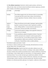 Valdymo funkcijų pritaikymas organizacijos veikloje 11 puslapis