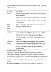 Valdymo funkcijų pritaikymas organizacijos veikloje 12 puslapis