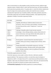 Valdymo funkcijų pritaikymas organizacijos veikloje 13 puslapis