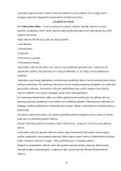 Valdymo funkcijų pritaikymas organizacijos veikloje 15 puslapis