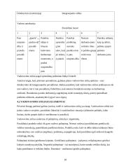 Valdymo funkcijų pritaikymas organizacijos veikloje 18 puslapis