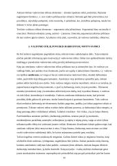 Valdymo funkcijų pritaikymas organizacijos veikloje 19 puslapis