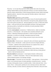 Valdymo funkcijų pritaikymas organizacijos veikloje 6 puslapis