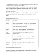 Valdymo funkcijų pritaikymas organizacijos veikloje 9 puslapis