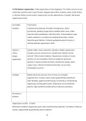 Valdymo funkcijų pritaikymas organizacijos veikloje 10 puslapis