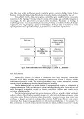 Valstybės marketingas 10 puslapis