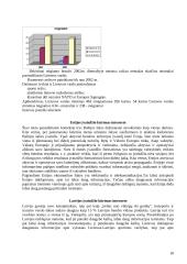 Valstybės marketingas 17 puslapis