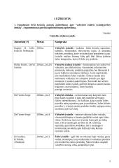 Valstybės marketingas 2 puslapis