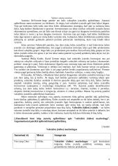 Valstybės marketingas 3 puslapis